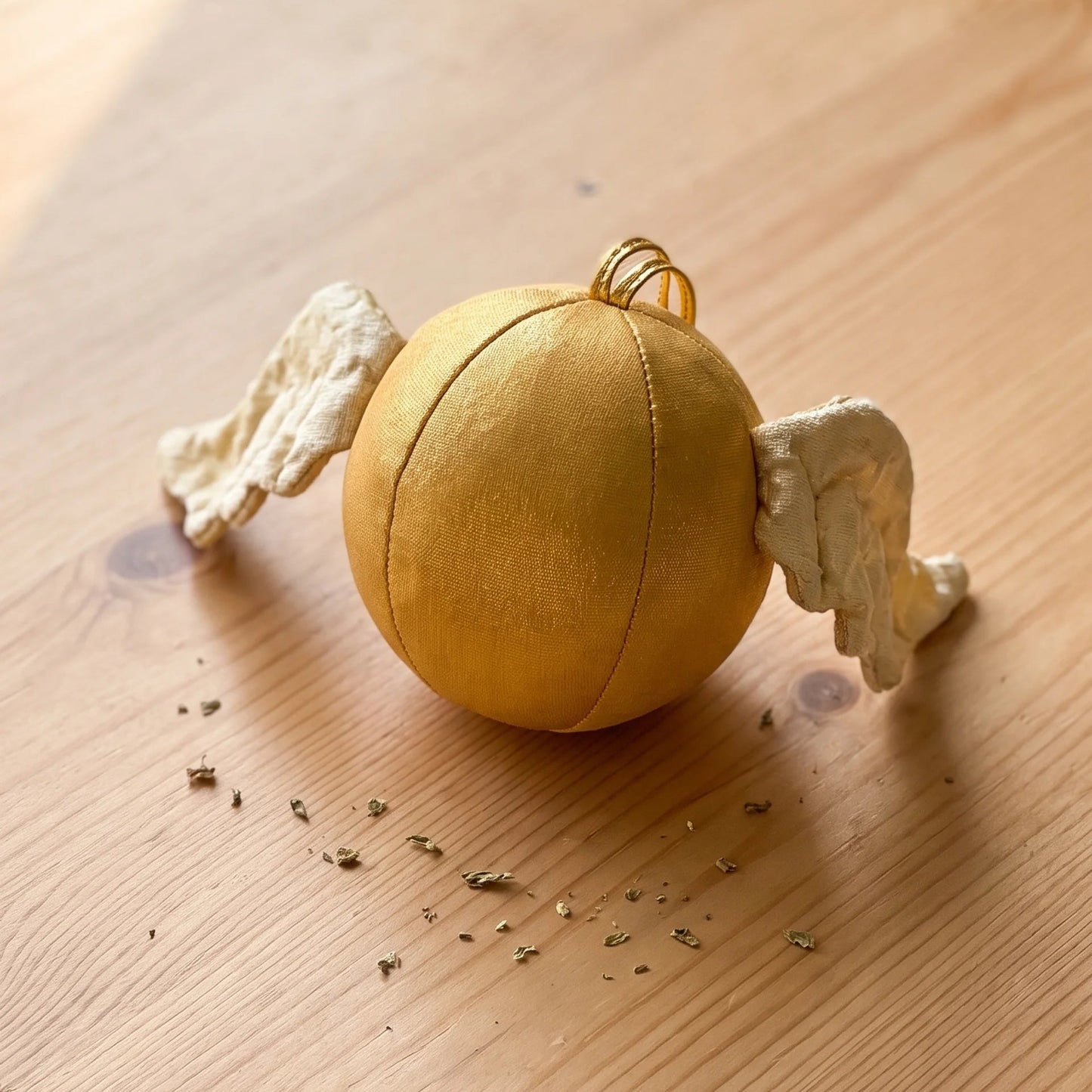 Catnip Toy